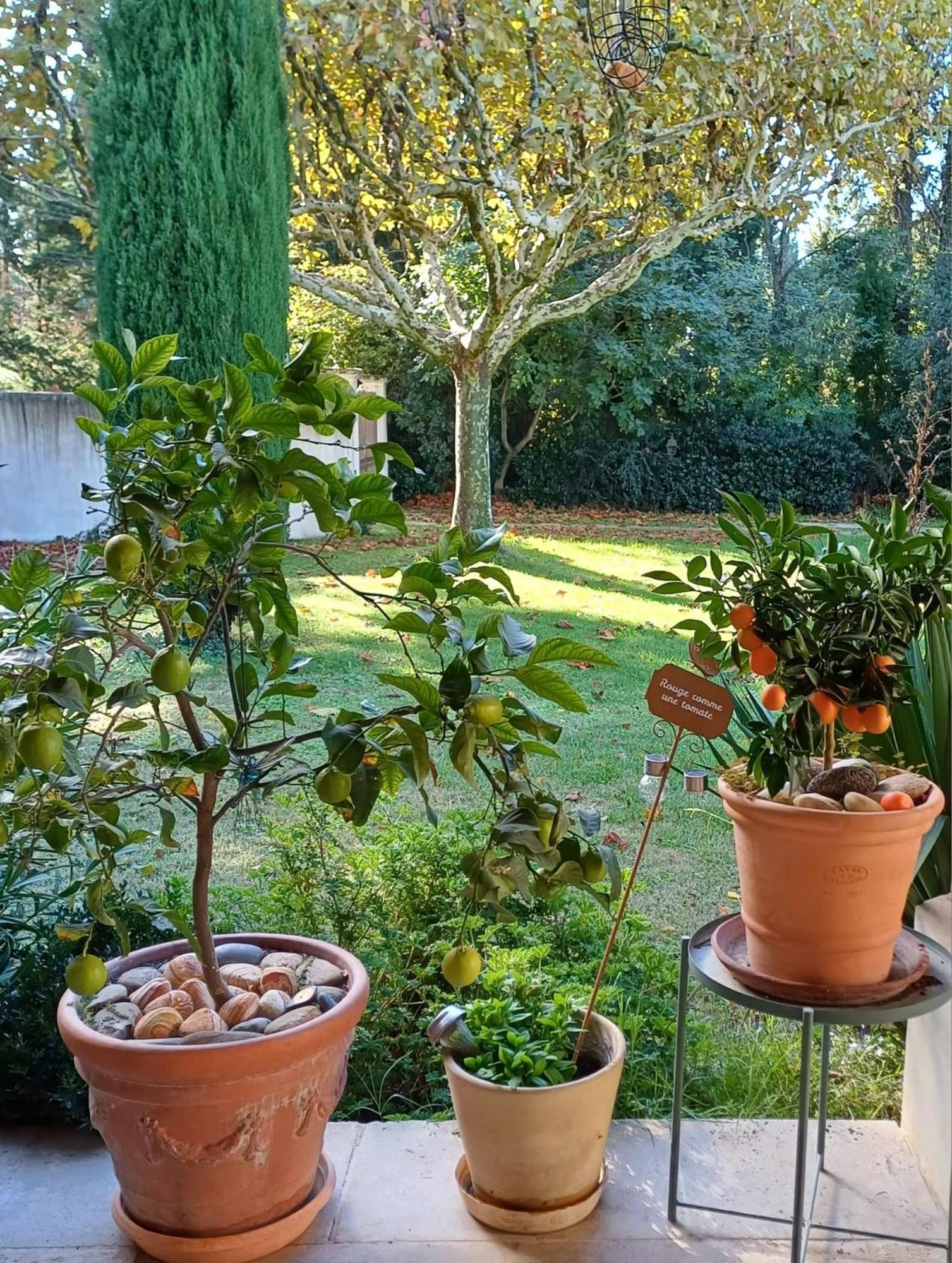 Cabannes La Goutadou B&B 외부 사진